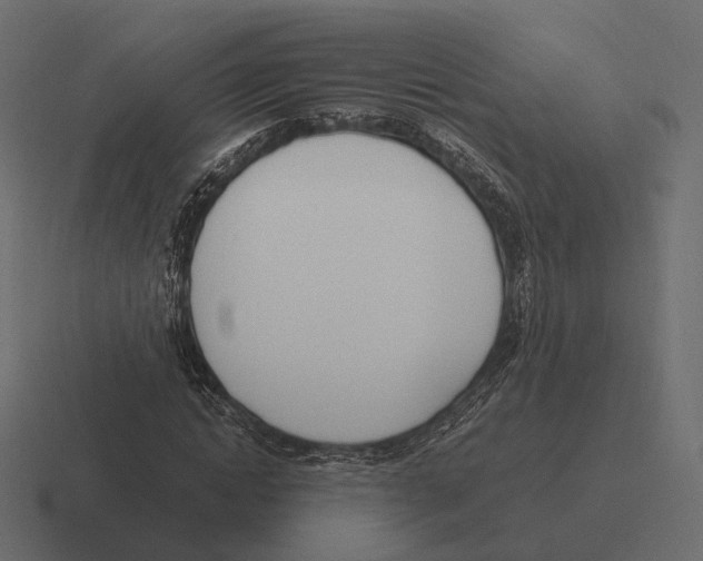 X0000116290822200912291410