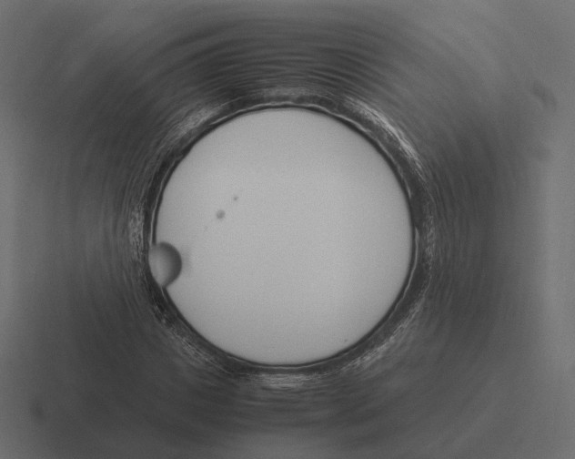 X0000116290825200912291410