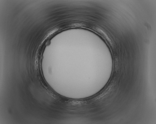 X0000116290827200912291410