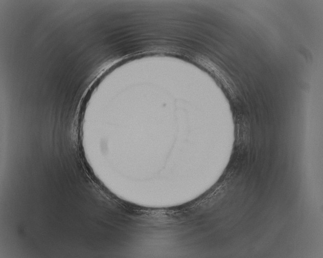 X0000116290828200912291410