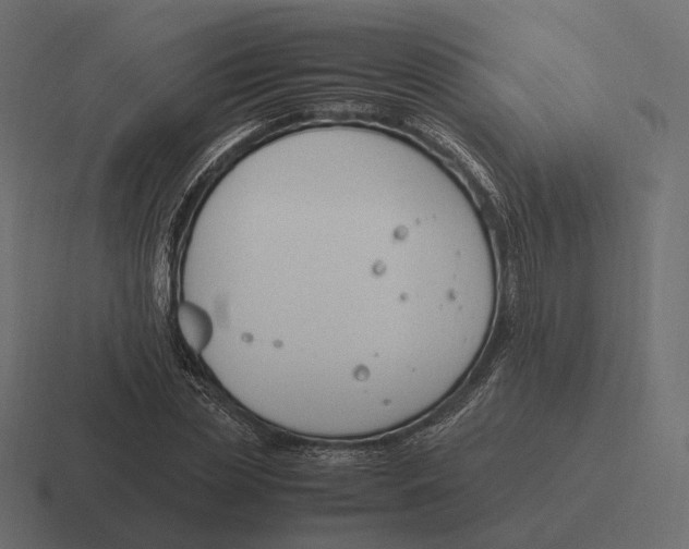 X0000116290829200912291410