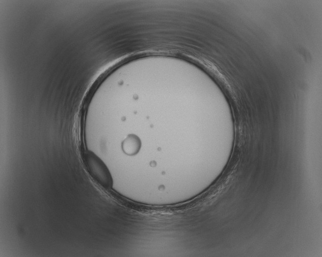 X0000116290838200912291411