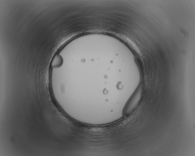 X0000116290839200912291411