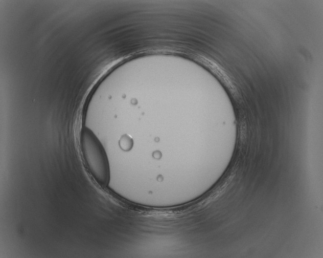 X0000116290844200912291411