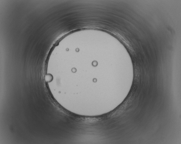 X0000116290848200912291411