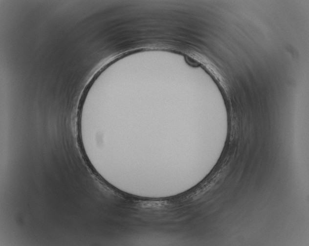 X0000116290853200912291411