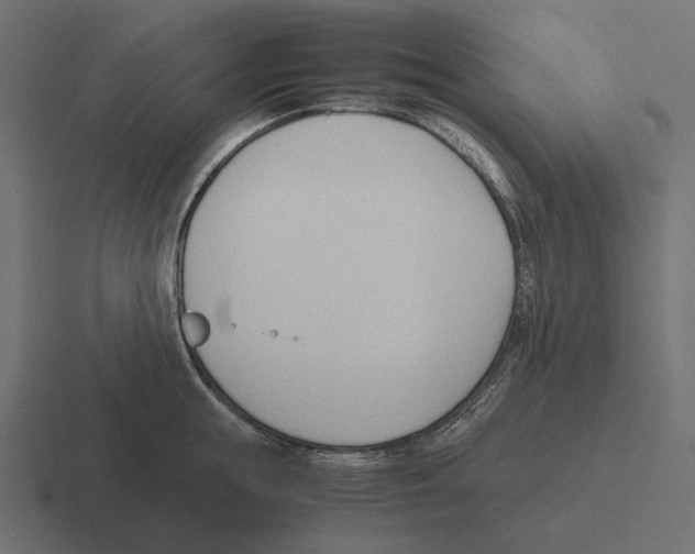 X0000116290855200912291411