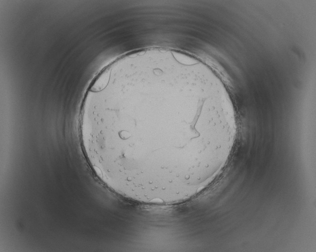 X0000116290856200912291411