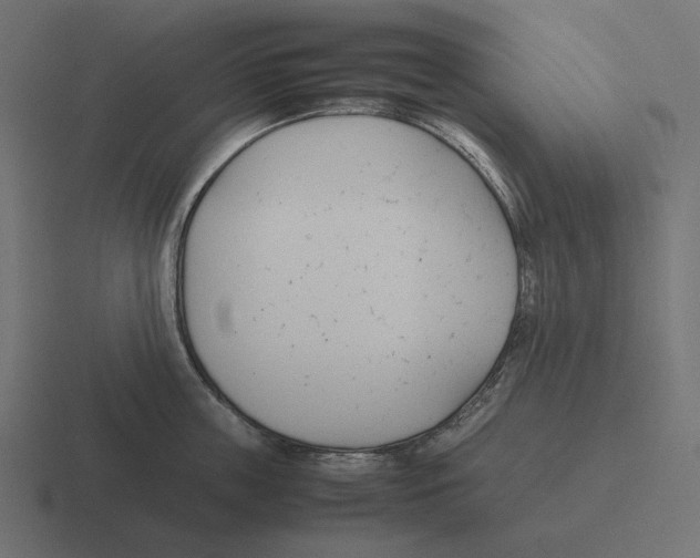 X0000116290859200912291411