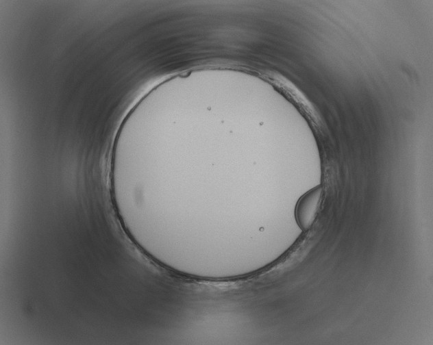 X0000116290860200912291411