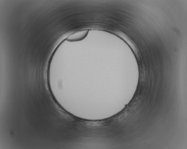 X0000116290861200912291411