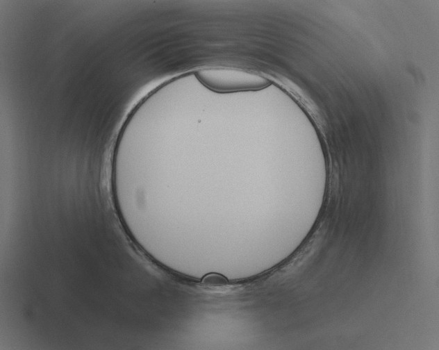 X0000116290862200912291411