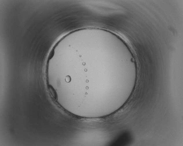 X0000116290864200912291411