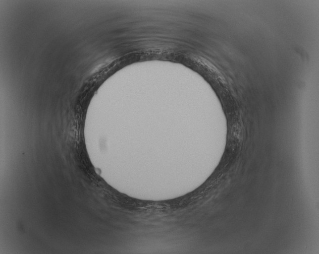 X0000116290869200912291410