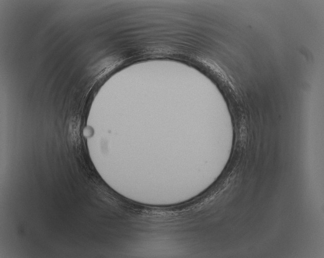 X0000116290873200912291410