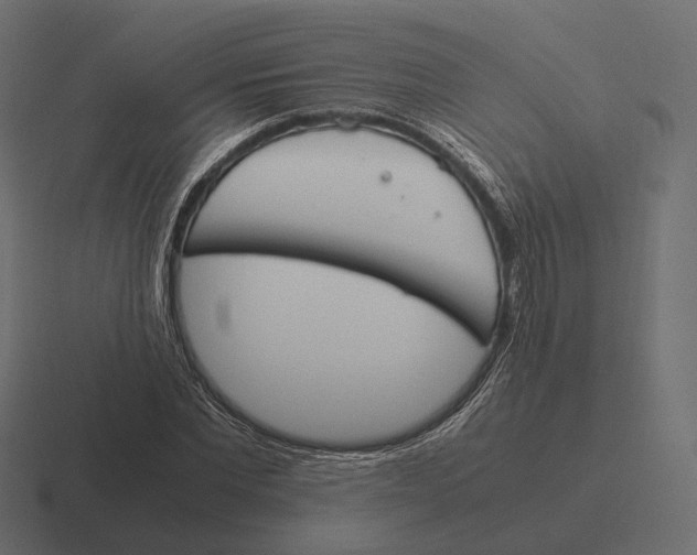 X0000116290877200912291410