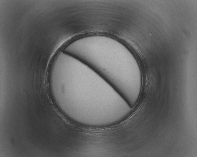 X0000116290878200912291410