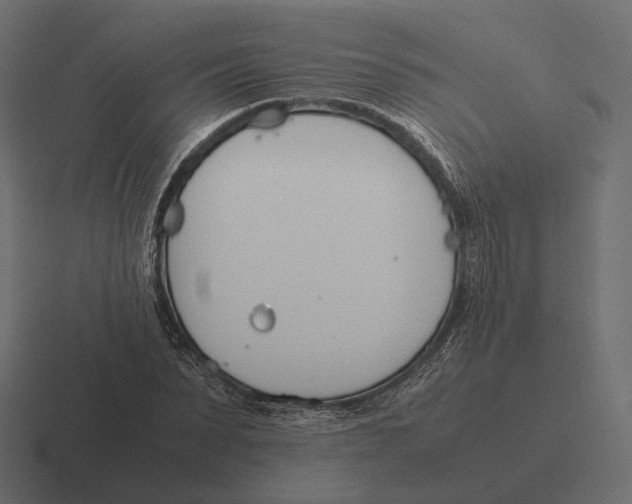 X0000116290879200912291410