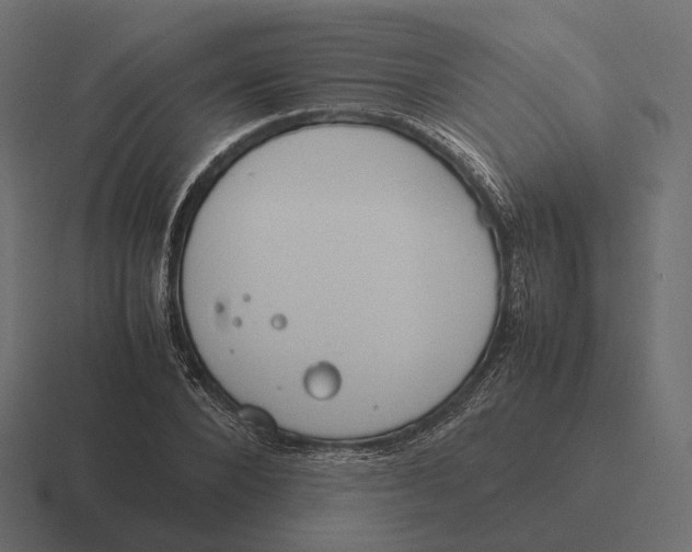 X0000116290880200912291410