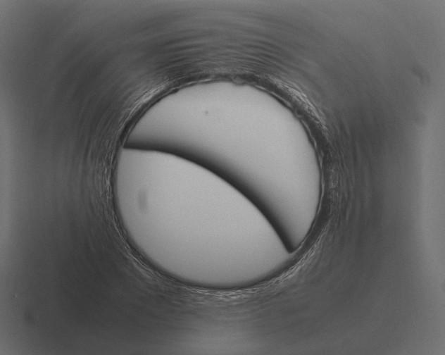 X0000116290881200912291410