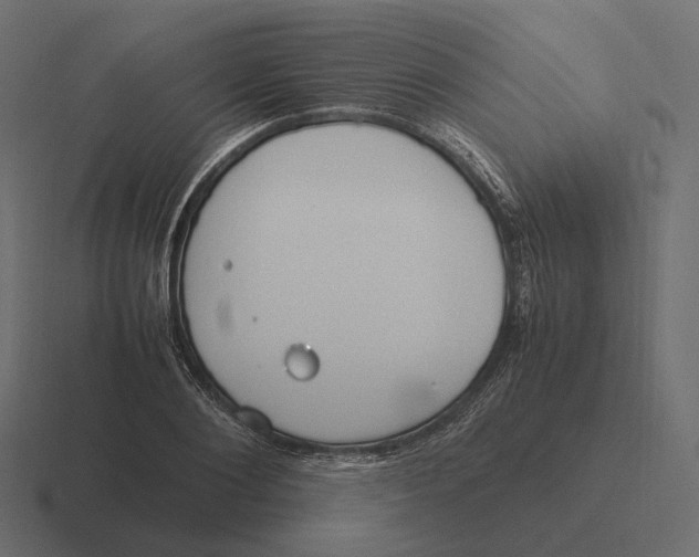 X0000116290884200912291410