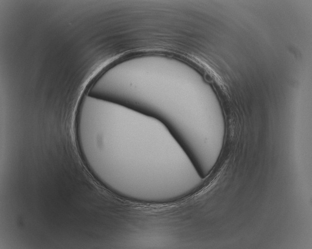 X0000116290885200912291410