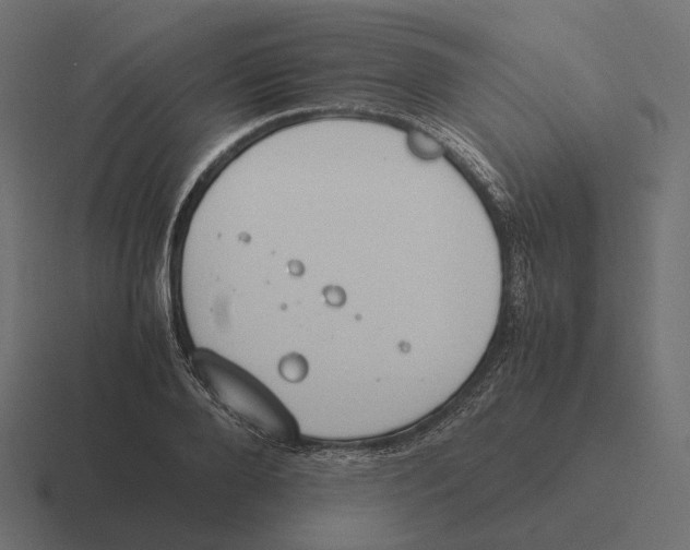 X0000116290888200912291410