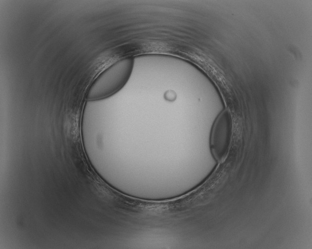 X0000116290889200912291410