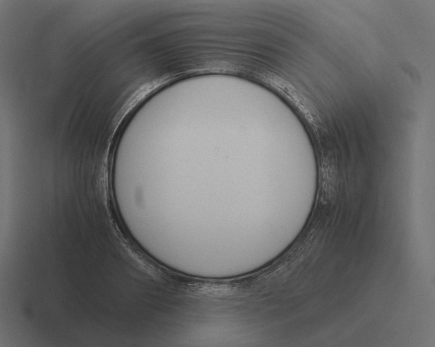 X0000116290890200912291410