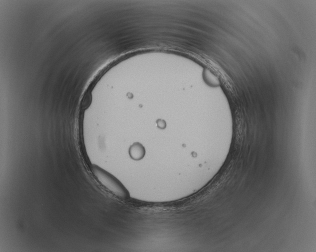 X0000116290896200912291410