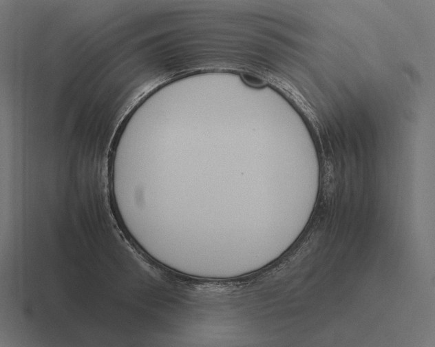 X0000116290898200912291410