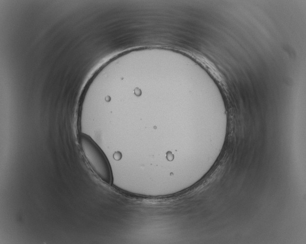 X0000116290904200912291410