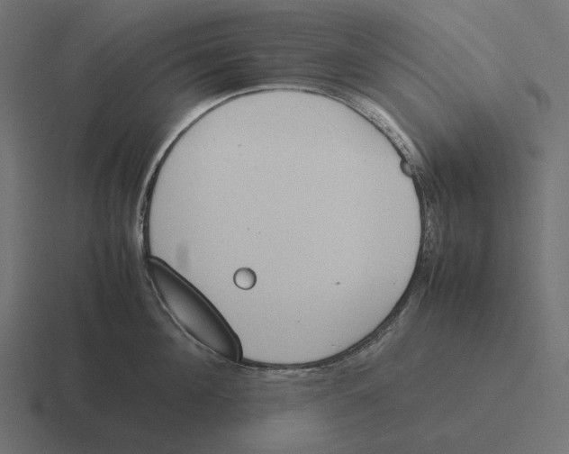 X0000116290908200912291410