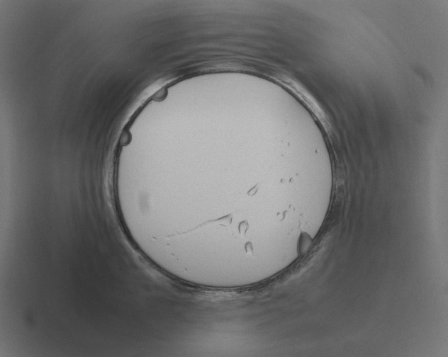 X0000116290909200912291410