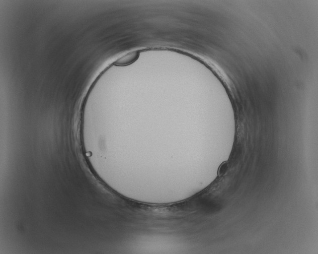 X0000116290911200912291410