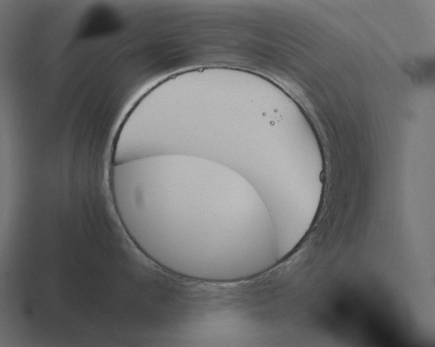 X0000116290912200912291410