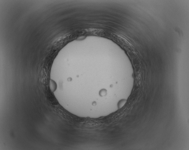 X0000116290917200912291409