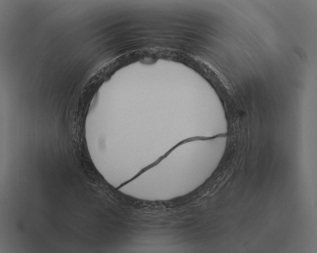 X0000116290919200912291409