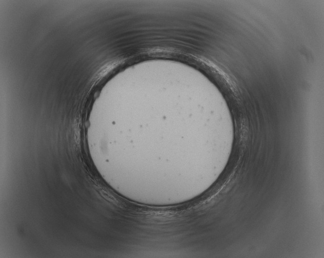 X0000116290921200912291409