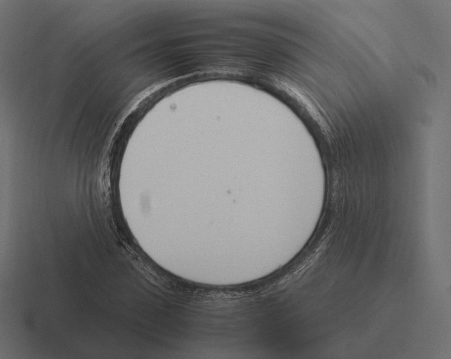 X0000116290923200912291409