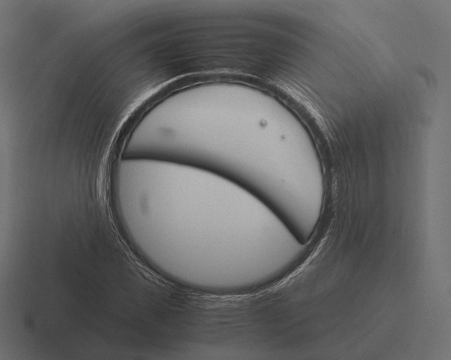 X0000116290925200912291409