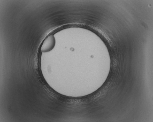 X0000116290927200912291409