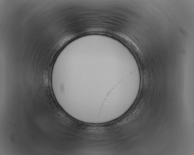 X0000116290929200912291409