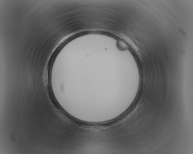 X0000116290934200912291409