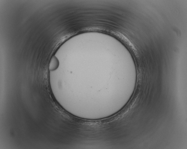 X0000116290937200912291409