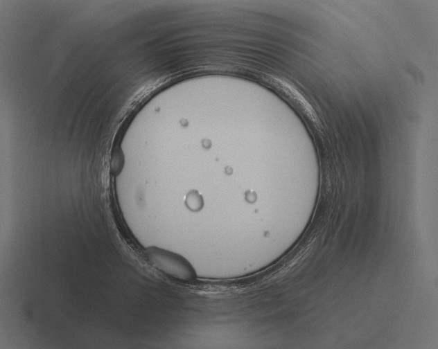 X0000116290938200912291409