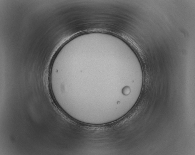 X0000116290941200912291409