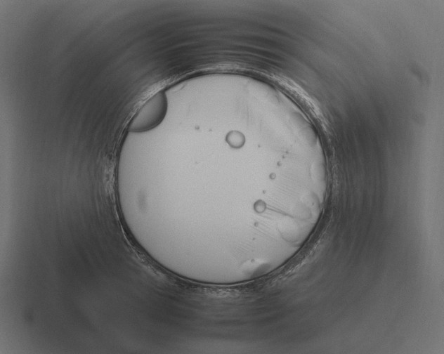 X0000116290945200912291409