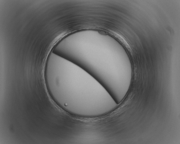 X0000116290946200912291409