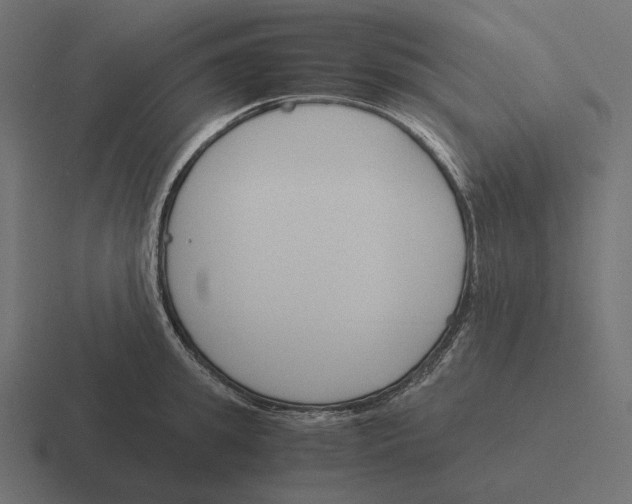 X0000116290949200912291410